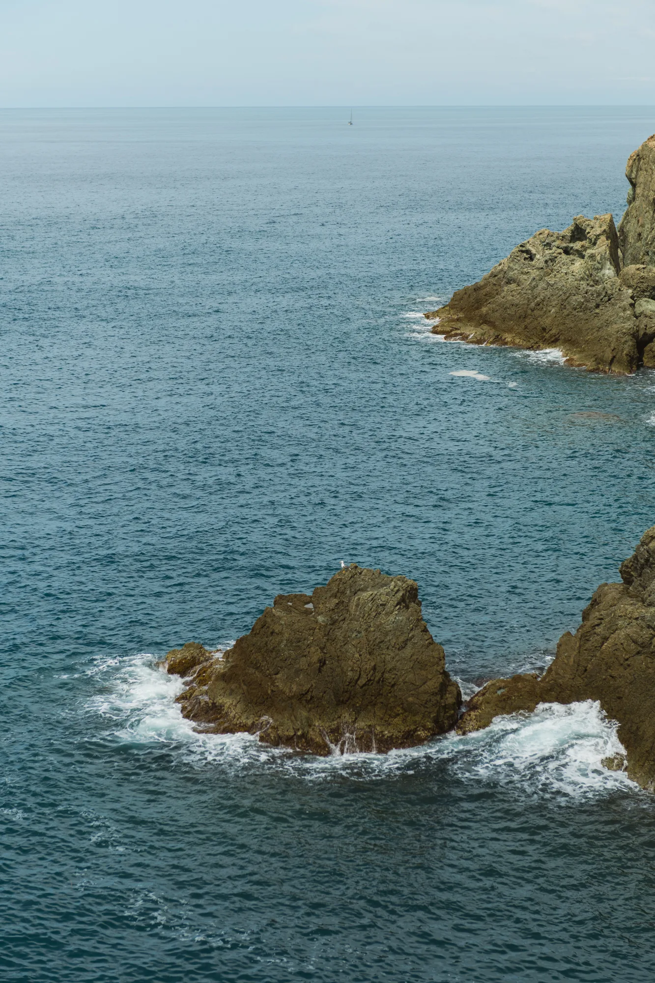 The photograph shows a vast expanse of calm, deep blue ocean with gentle waves lapping against rocky cliffs.