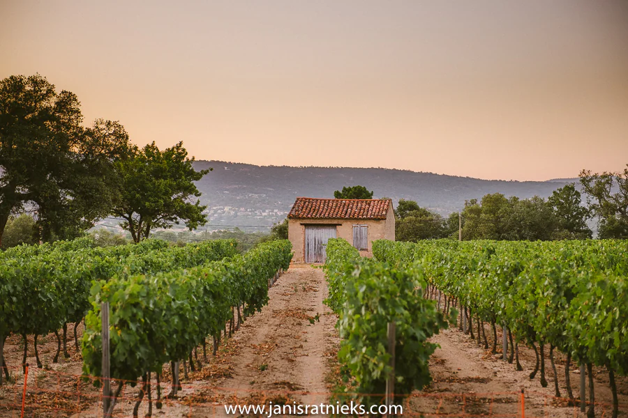 Destination wedding venue in Saint-Tropez, South of France — private estate celebration
