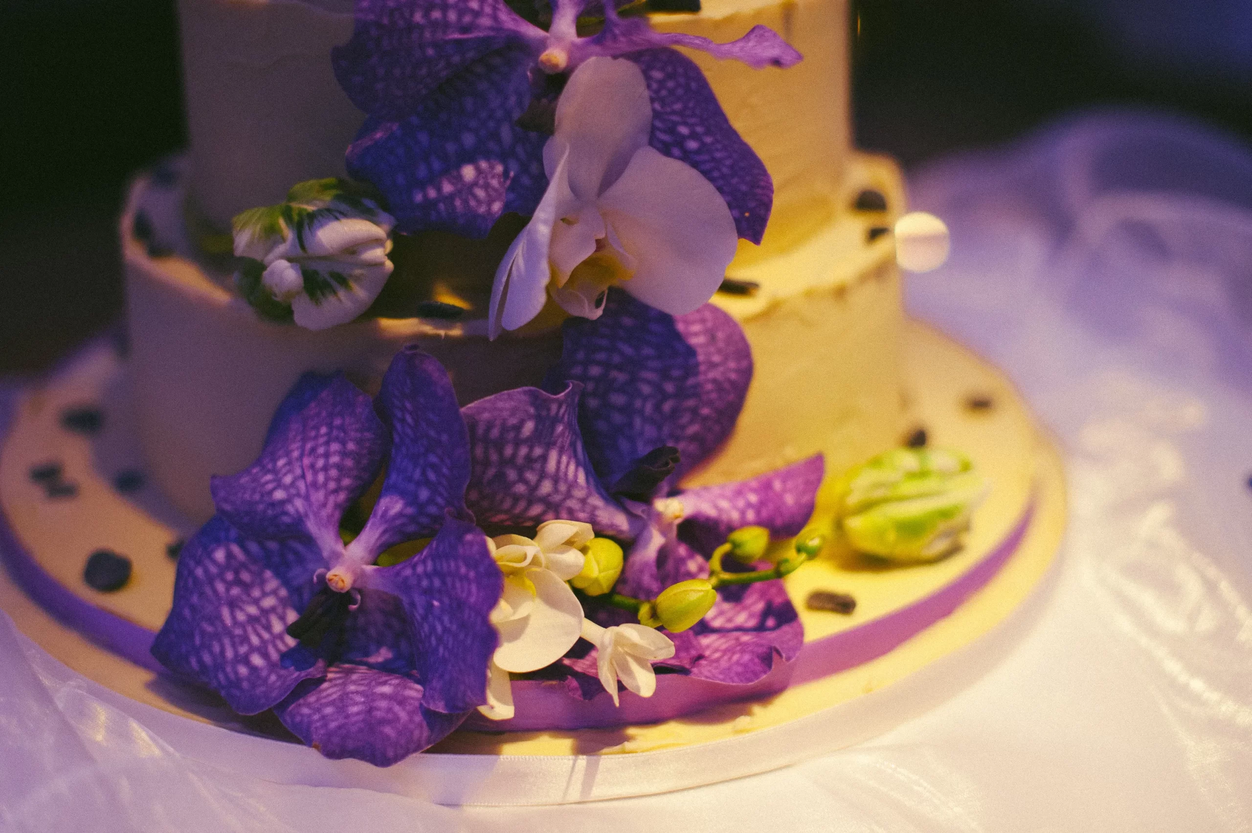 Caroline and John’s Cork wedding — photograph 131