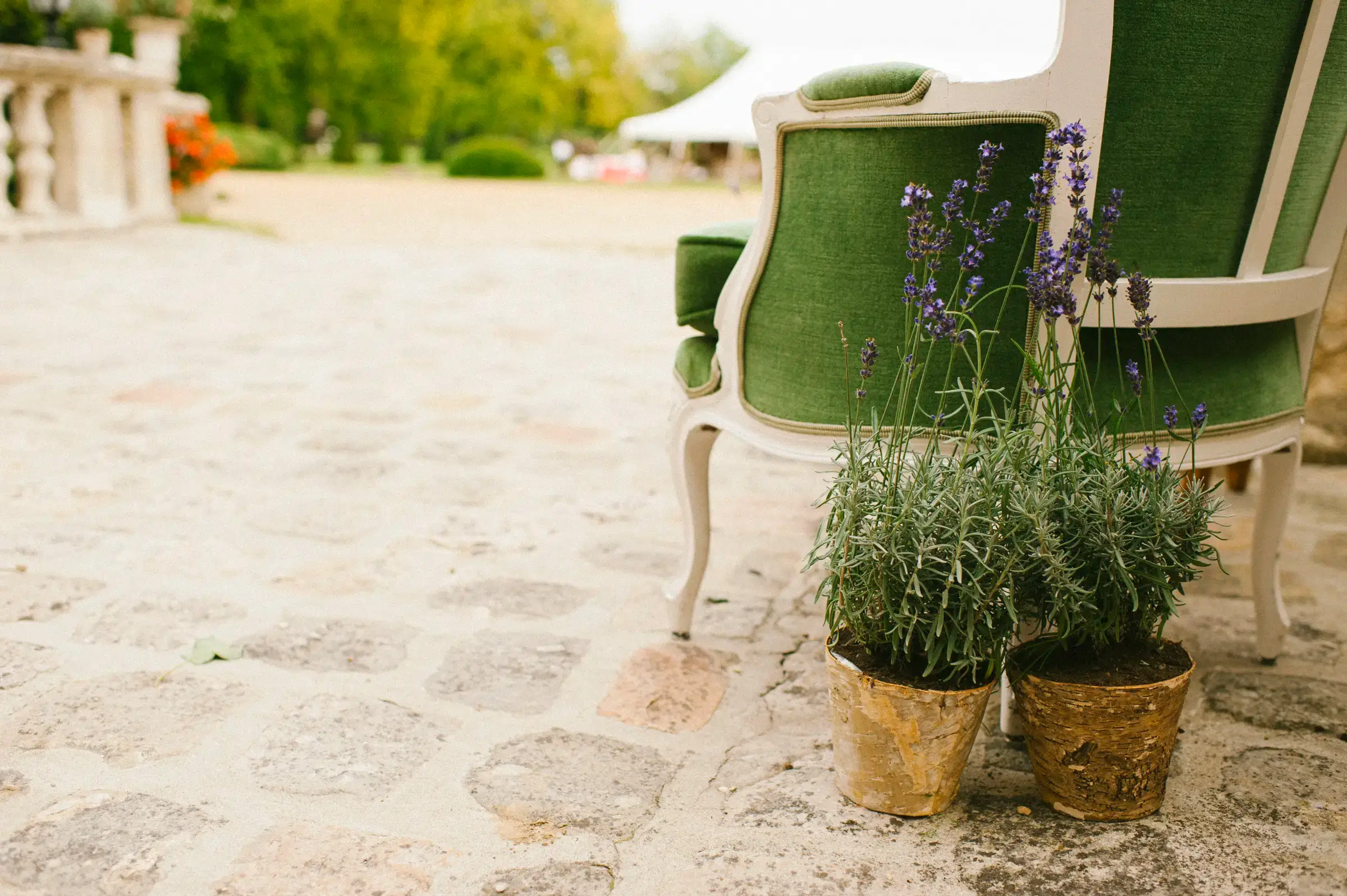 Château dEsclimont wedding photographer 37