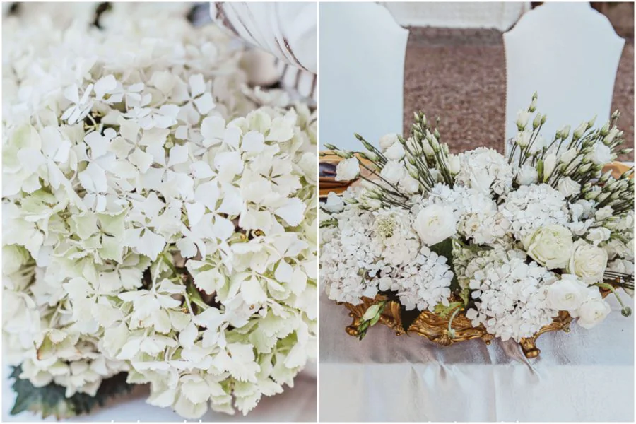 white wedding theme ideas