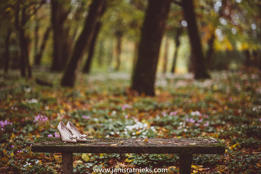 autumn wedding france