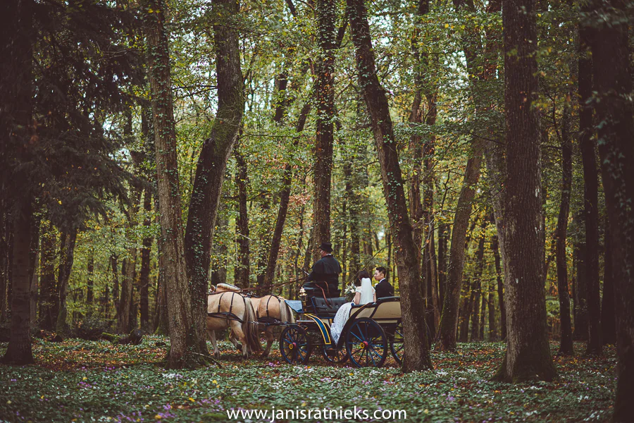Wedding carriage driving through the woods
