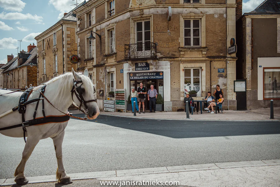 wedding horse and carriage France