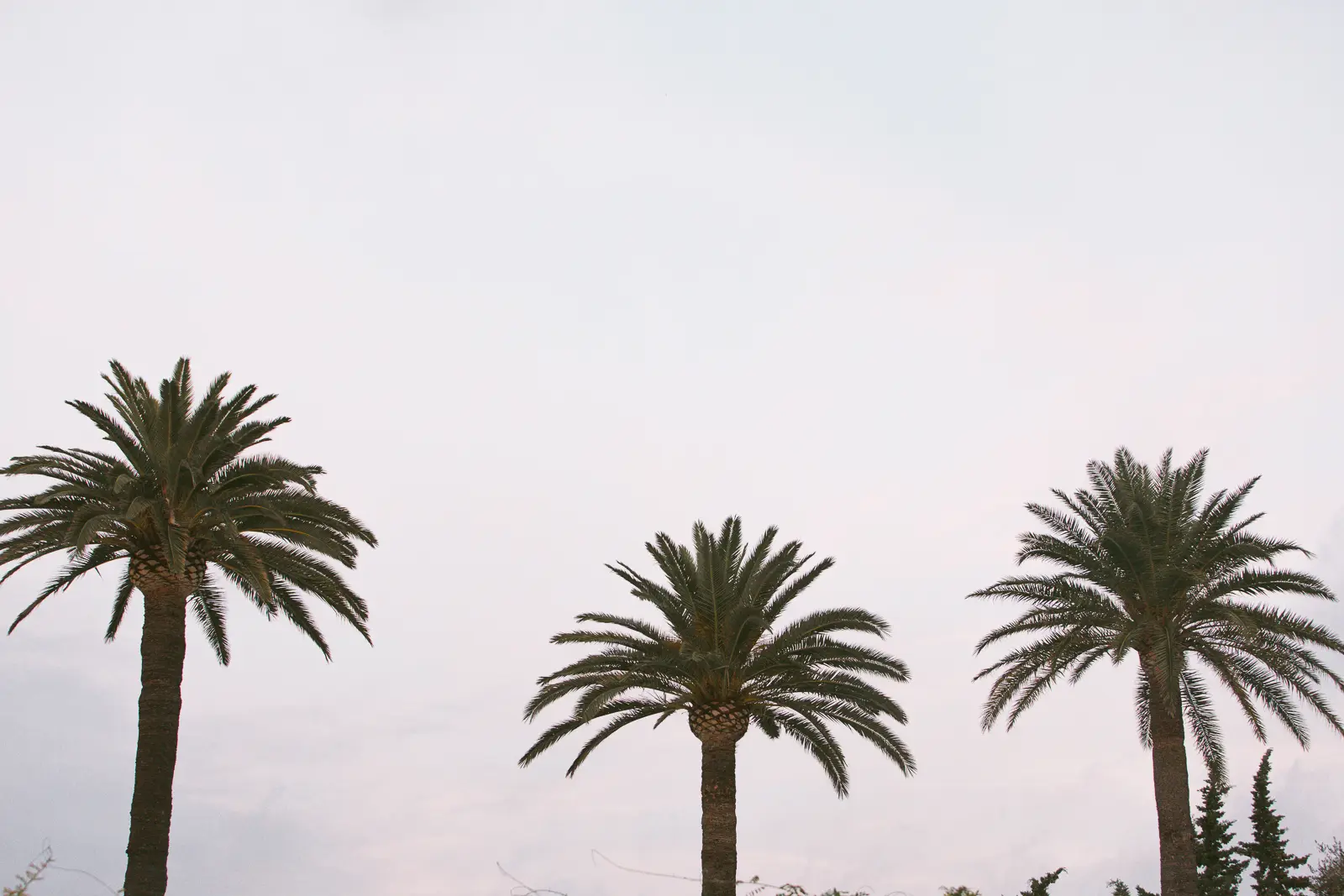 Royal Riviera Hotel wedding photograph 85 in Saint-Jean-Cap-Ferrat