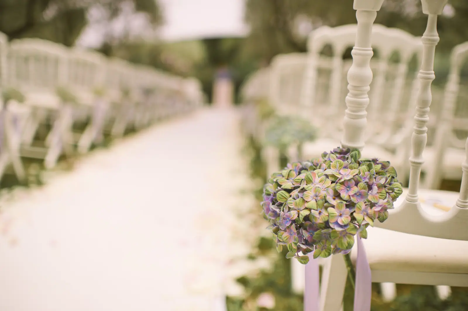 Catherine and Philip’s olive-garden wedding ceremony near Mougins