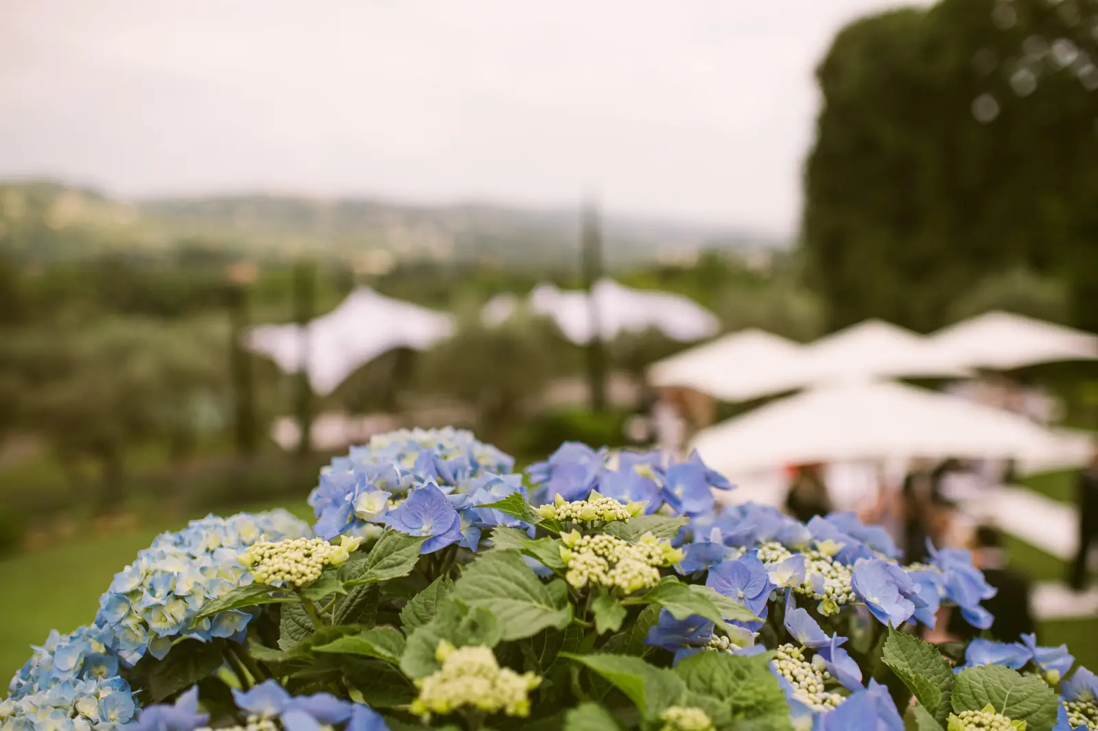 Catherine and Philip’s Royal Mougins poolside dinner and evening celebration