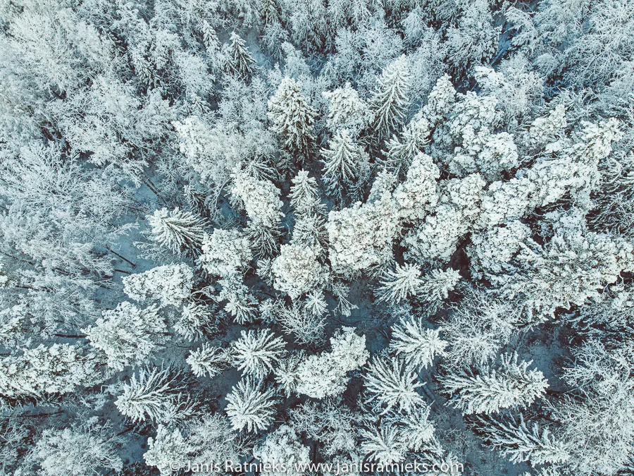 Mavic Mini test for photographers