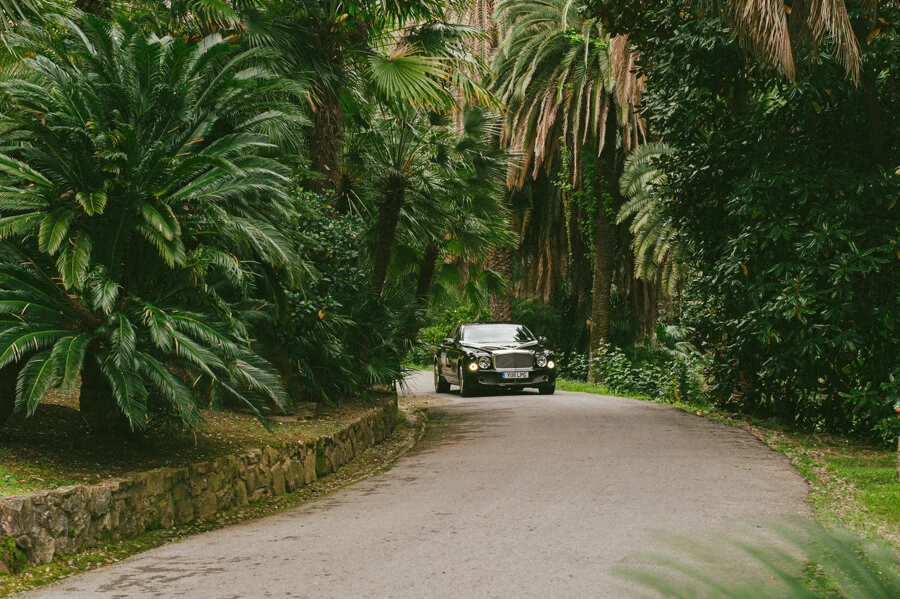 Rolls-Royce arriving through the palm-lined drive at Villa Durazzo