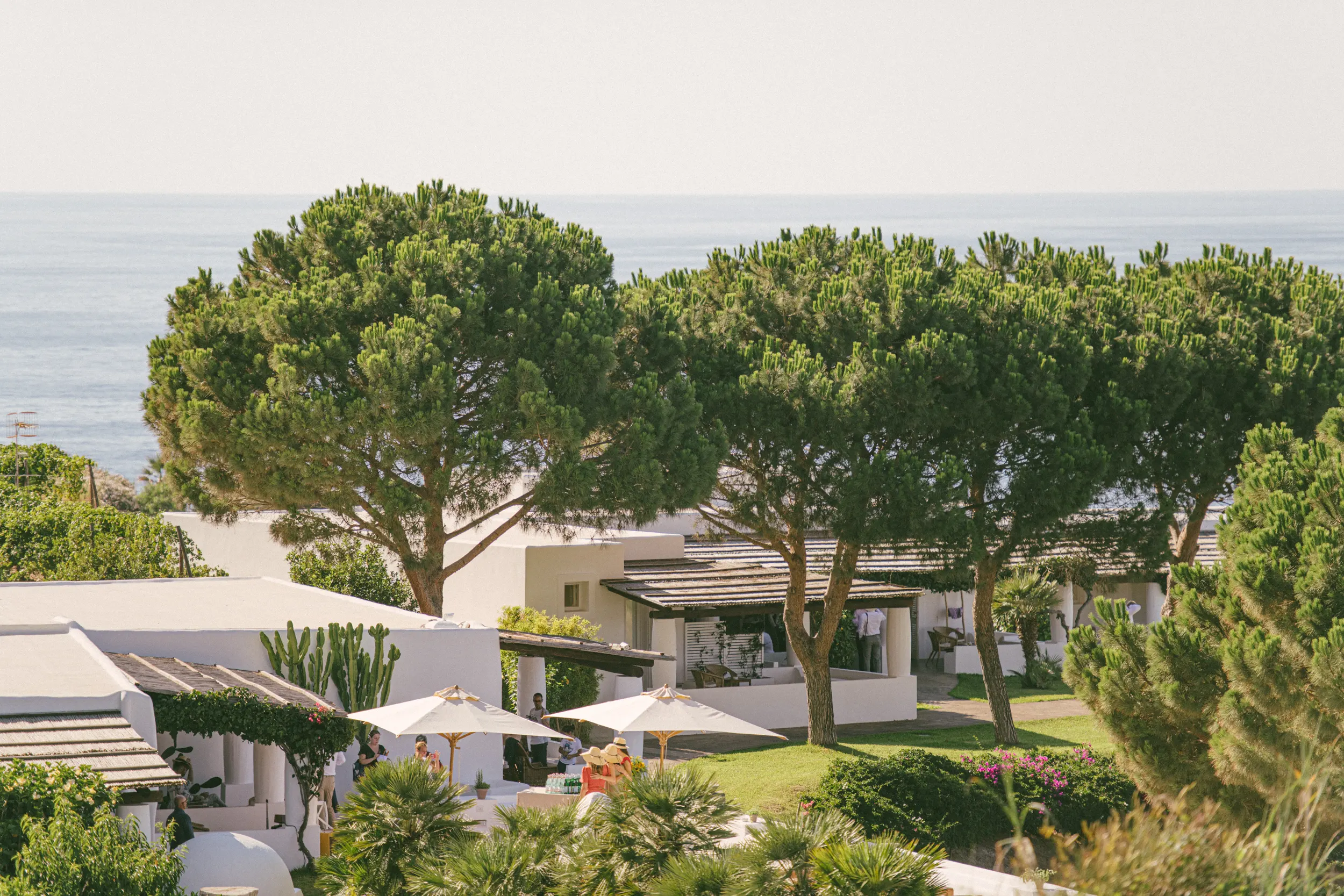 A vineyard wedding setting on Salina