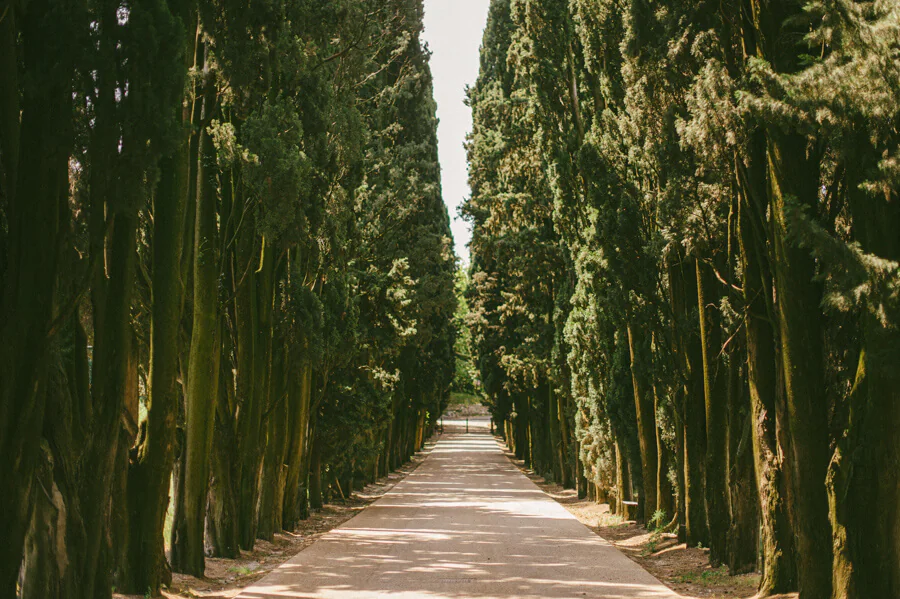 Wedding near Verona