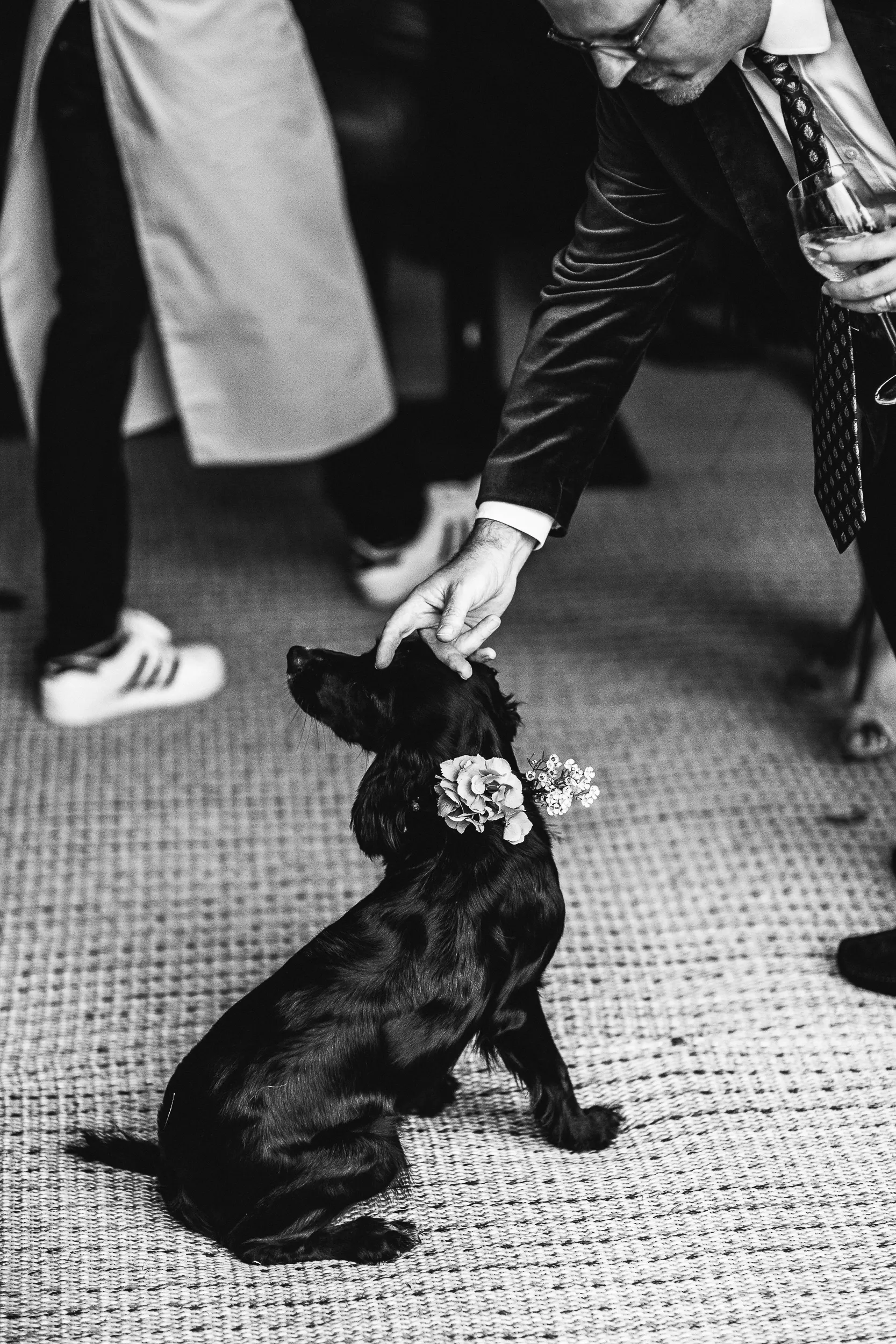 Rebecca and Jack’s Jewish wedding in Hampshire, photograph 12 by Janis Ratnieks