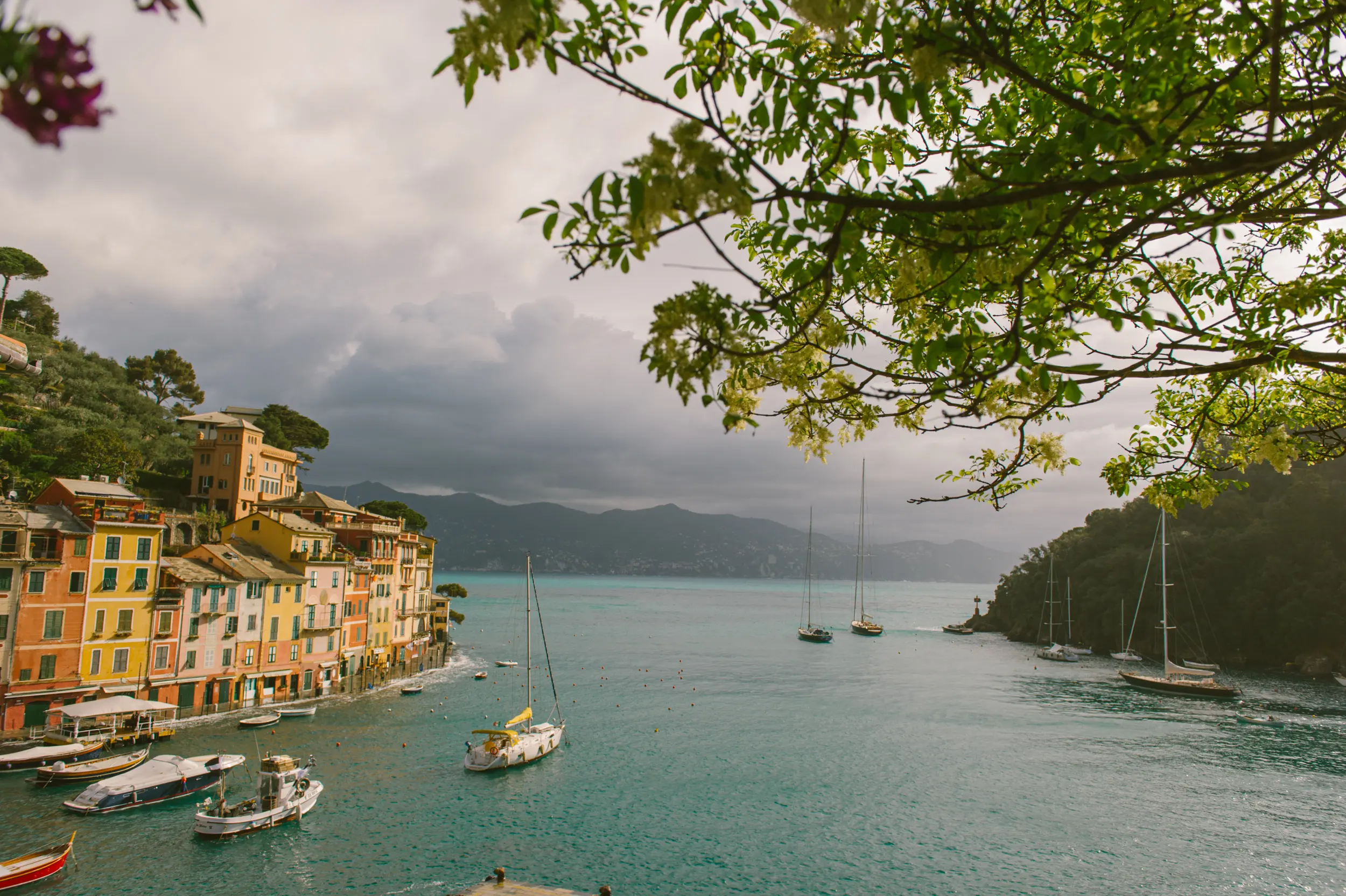 Sailing boats entering Portofino harbour beneath the Ligurian hills