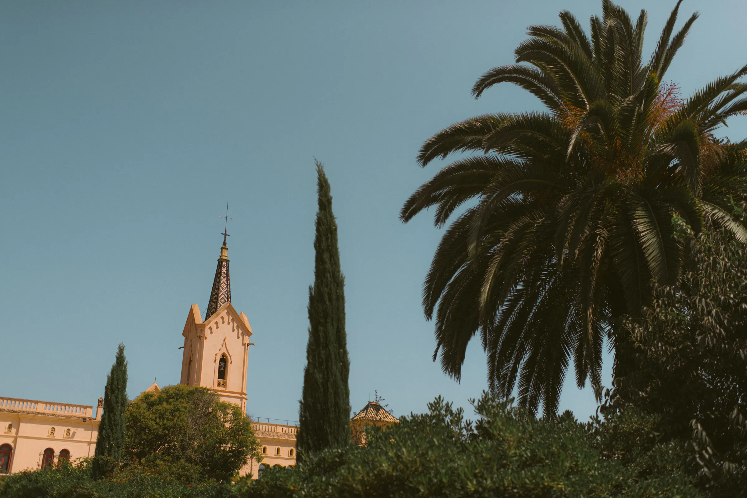 Sara and Kieran's Sant Pere del Bosc wedding in Spain