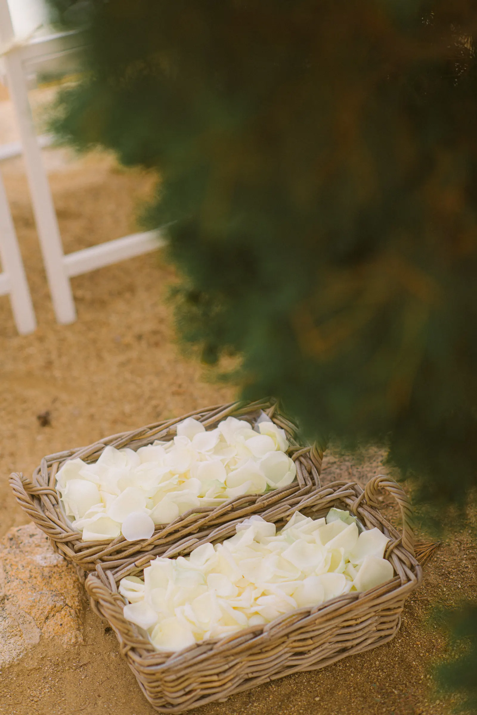 Sara and Kieran's Sant Pere del Bosc wedding in Spain
