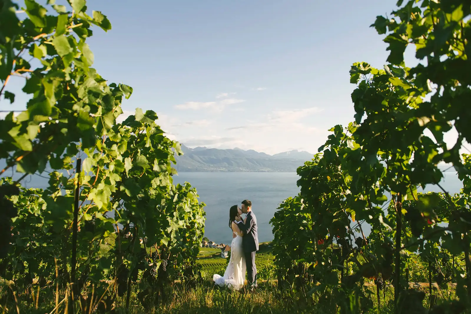 Vineyard wedding vows in the South of France at golden hour
