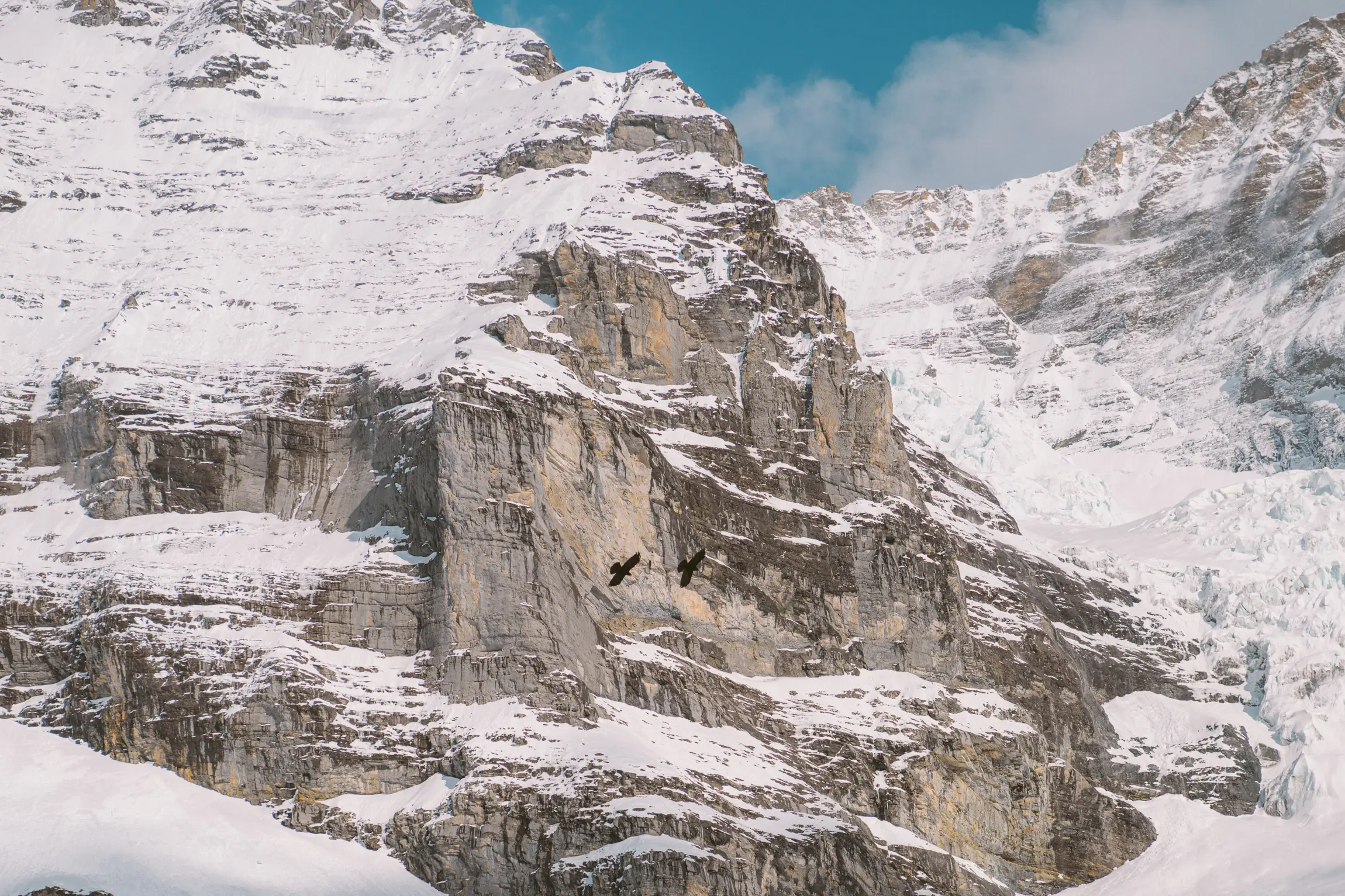 Swiss Alps pre-wedding session, photograph 25