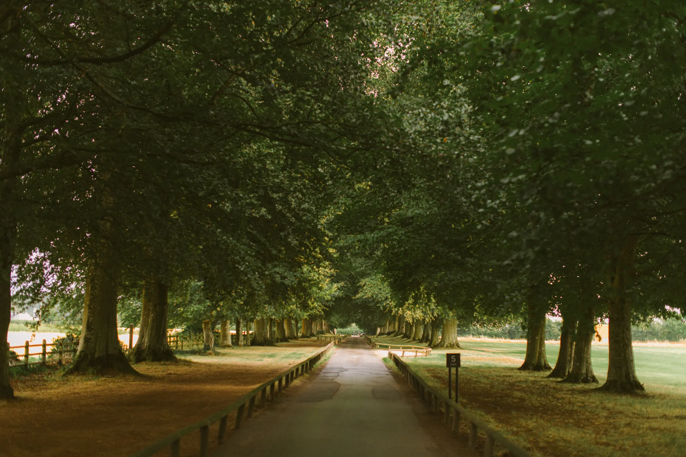 Real wedding at Babington House in Somerset, photograph 8 by Janis Ratnieks
