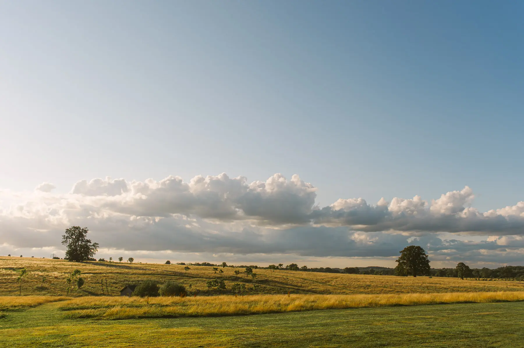 Clare and Hung’s Four Seasons Hampshire wedding, photograph 104 by Janis Ratnieks