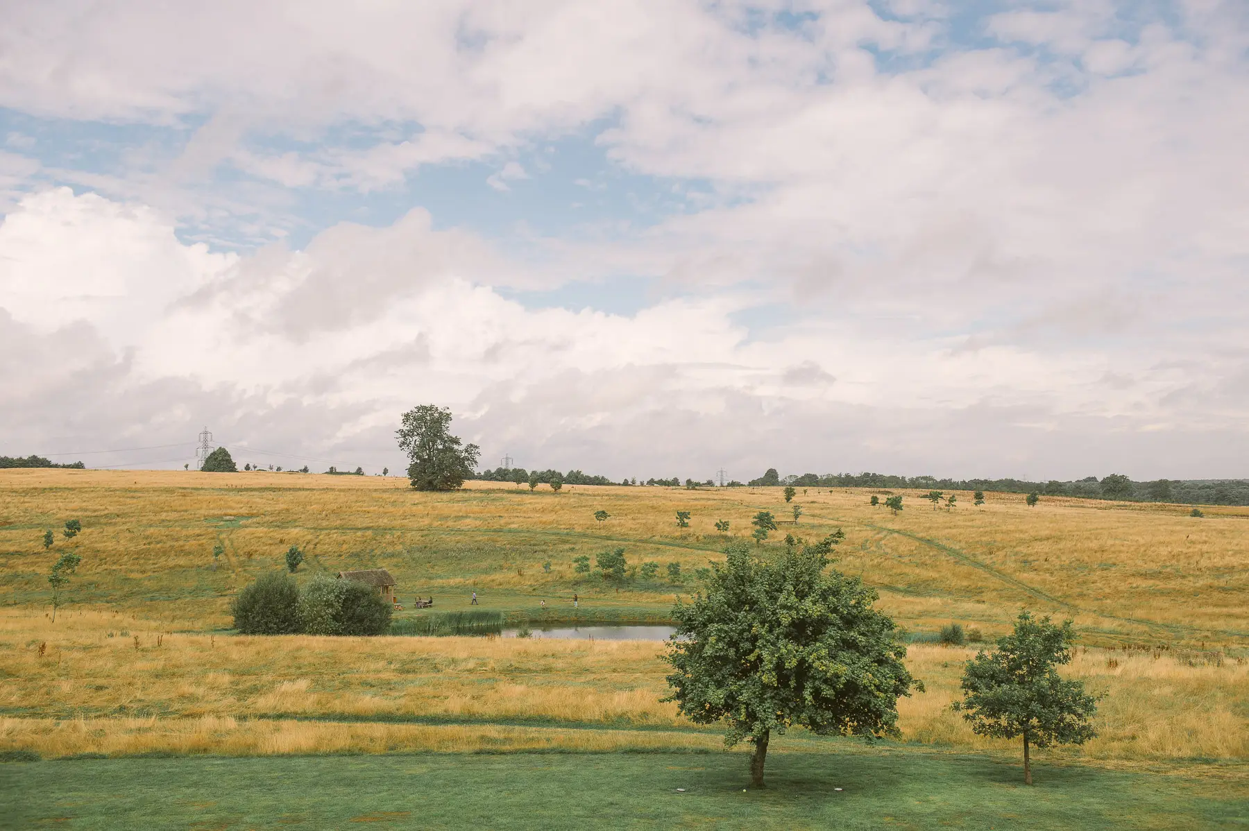 Clare and Hung’s Four Seasons Hampshire wedding, photograph 2 by Janis Ratnieks