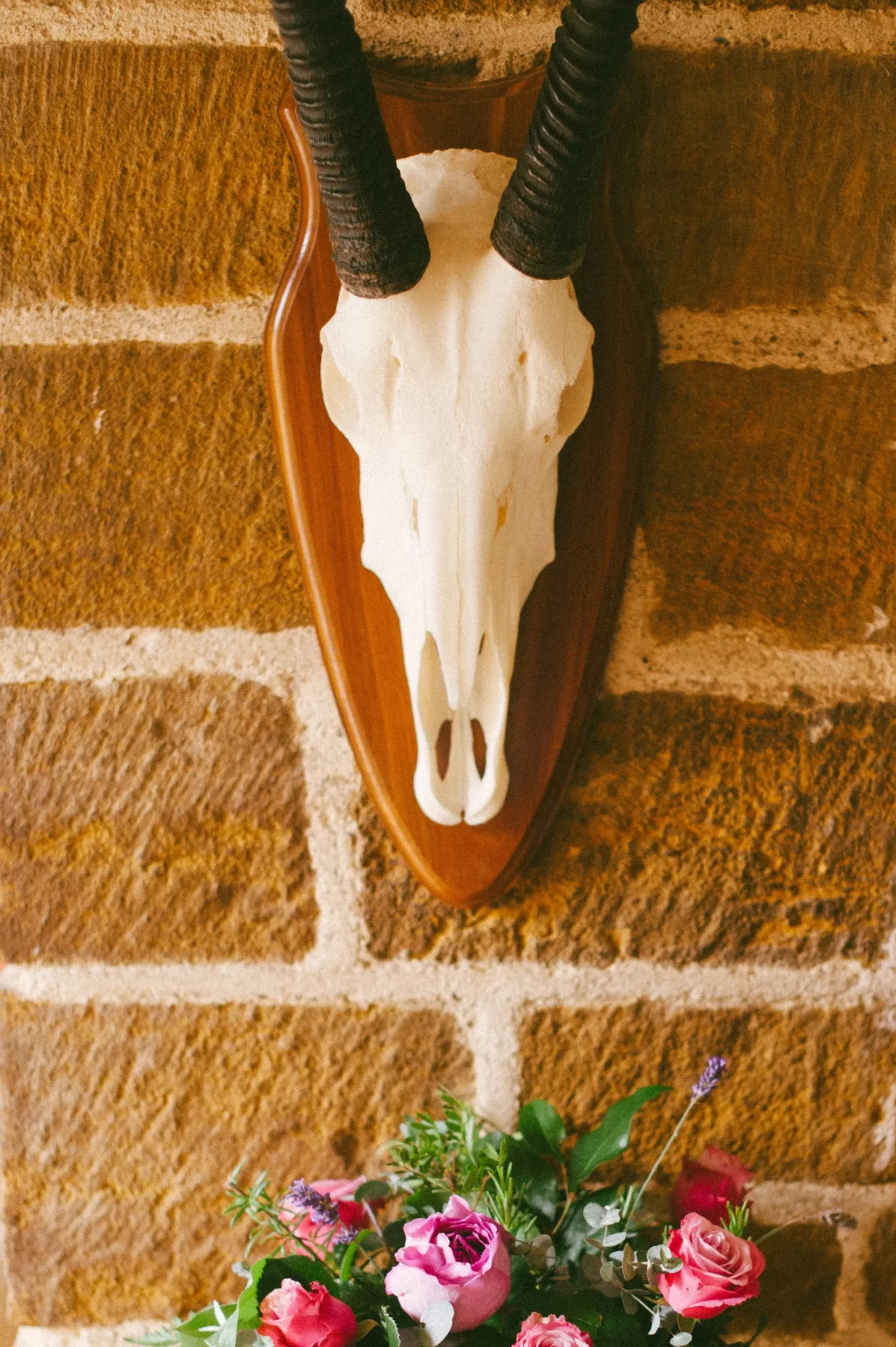 Tess and Jodi’s Voewood House wedding, photograph 14 by Janis Ratnieks