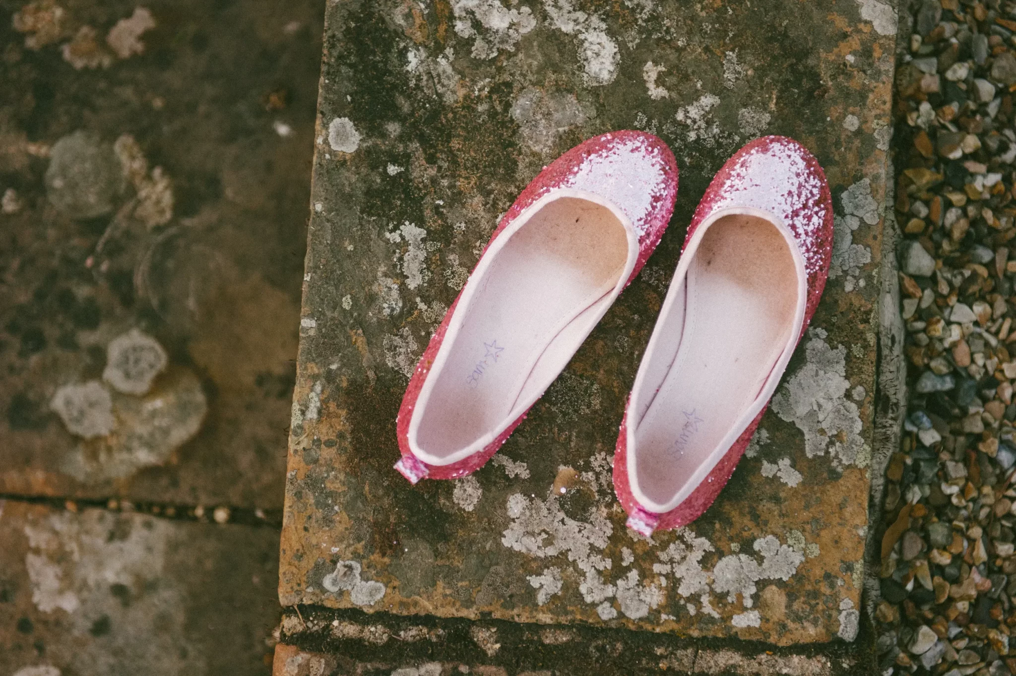Tess and Jodi’s Voewood House wedding, photograph 66 by Janis Ratnieks