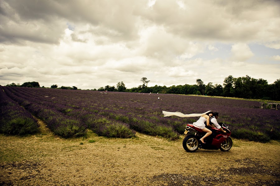 Prewedding photoshooting in lavender field Prewedding photoshooting in lavender field