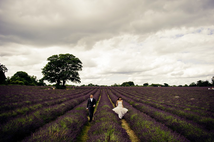 Lavender prewedding photographer Lavender prewedding photographer
