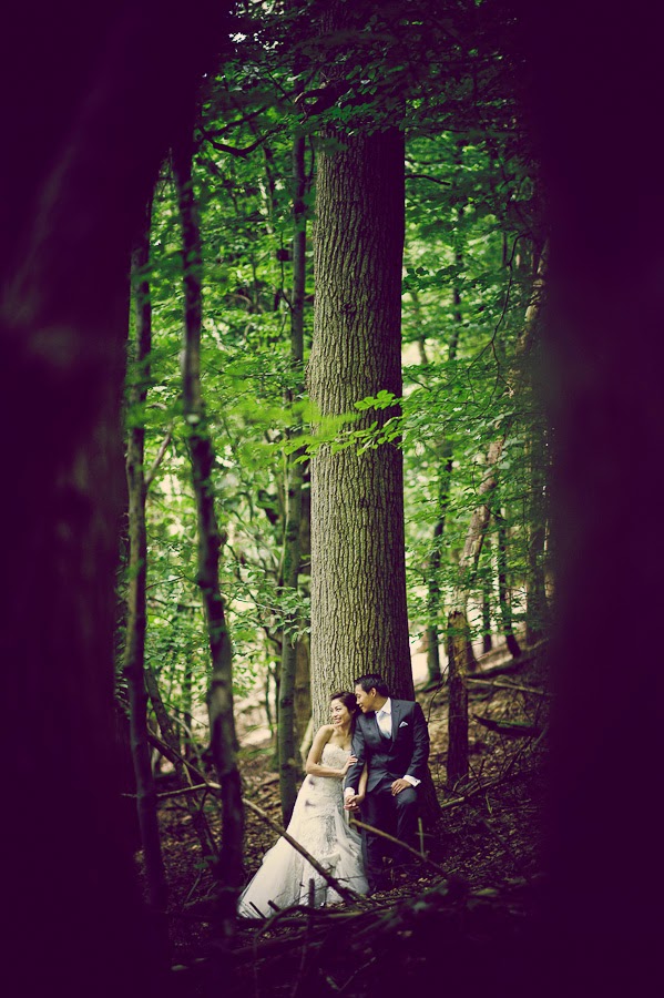 prewedding photoshoot in forest prewedding photoshoot in forest