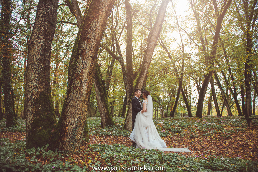 bride and groom in a beautiful forest