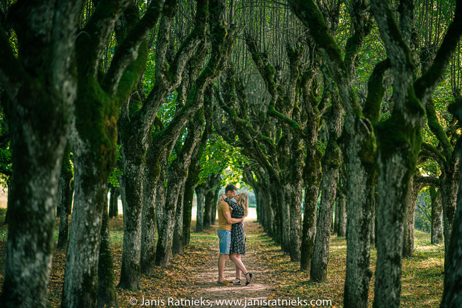 fairytale wedding photographer