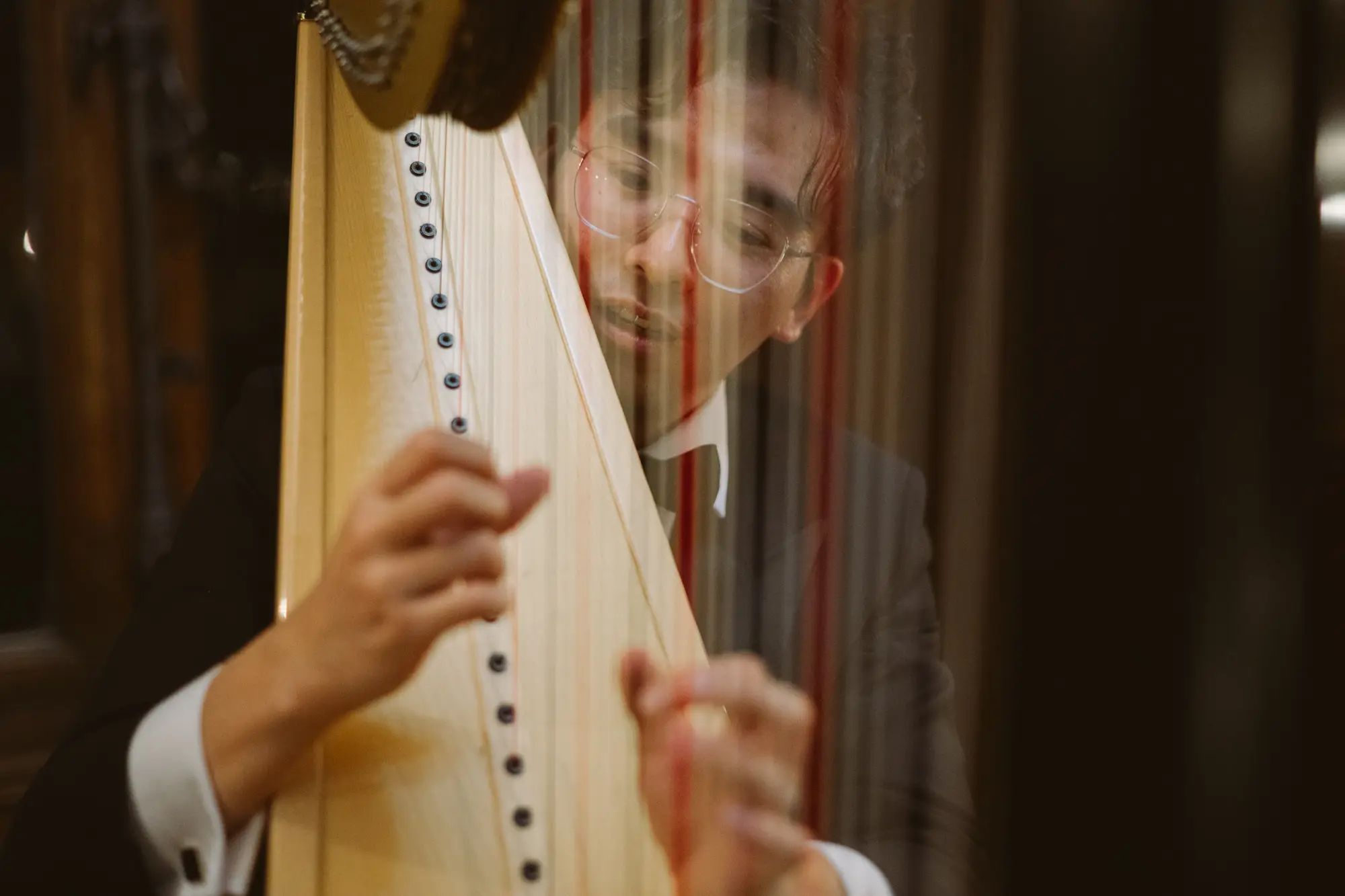 Tryoing to focus through strings of a harp - Manual focus for Z8 here