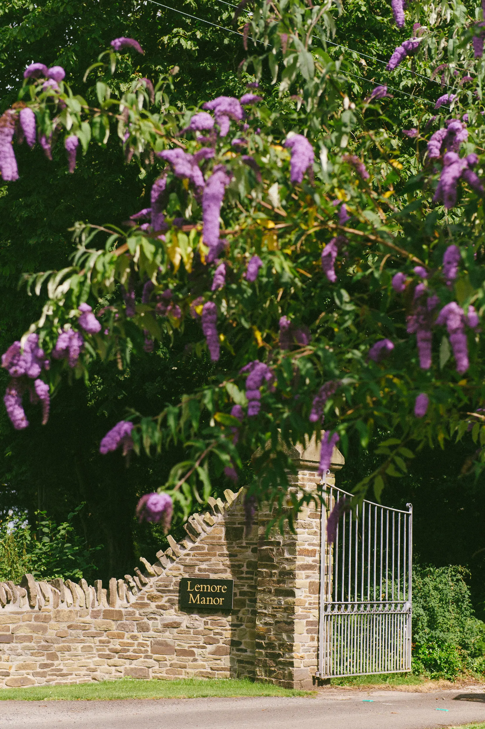 Lemore Estate gate photography