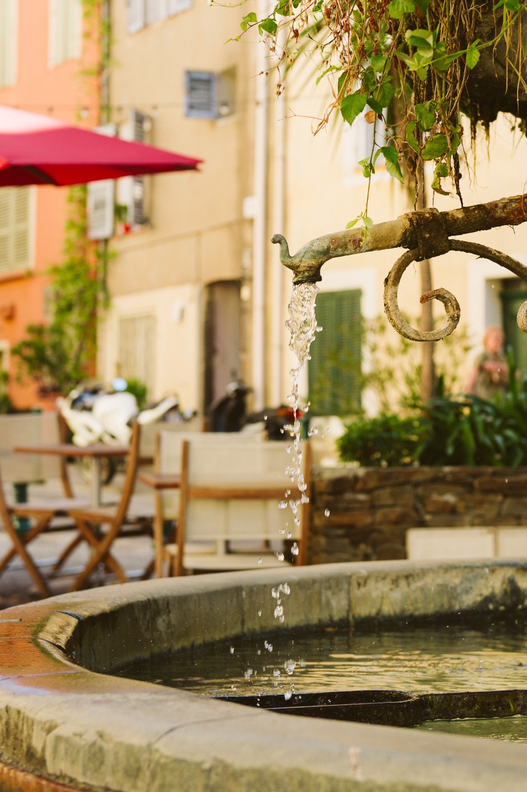 Vineyard near Saint-Tropez used as wedding ceremony location