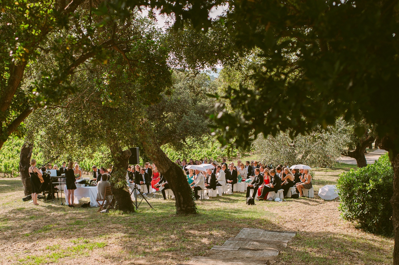 Wedding guests seated at vineyard ceremony in the South of France