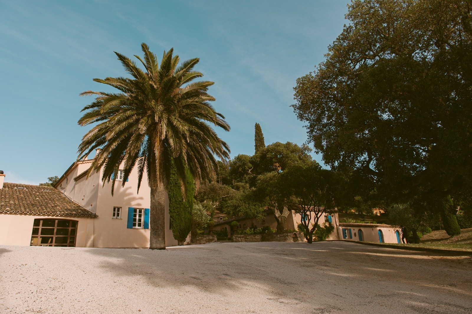 Couple walking between vineyard rows at sunset near Saint-Tropez