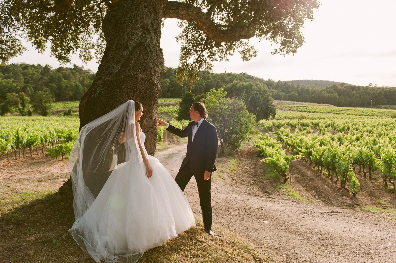Couple embracing in front of vines during South of France wedding
