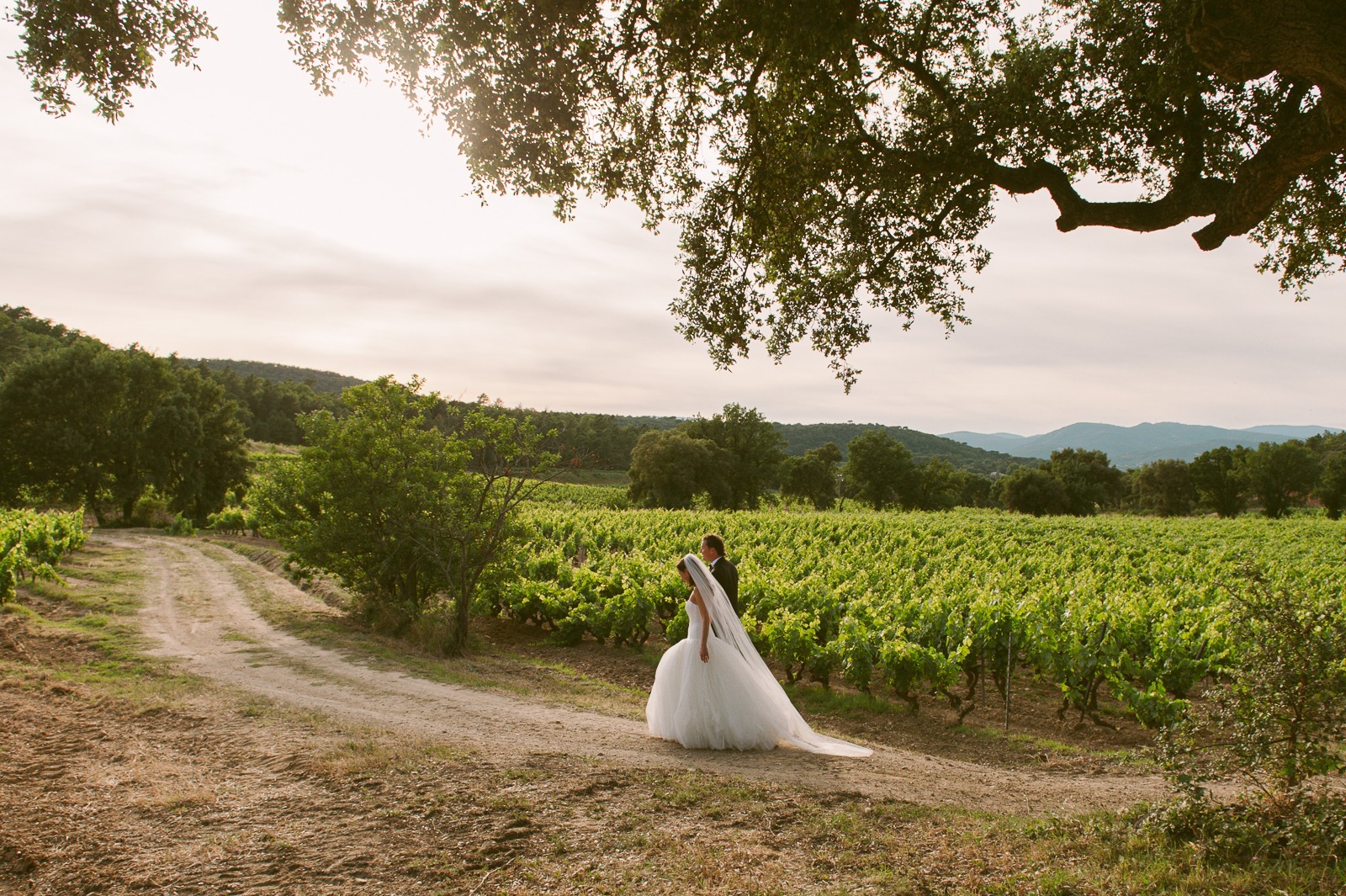 Couple standing together in vineyard with hills behind near Saint-Tropez