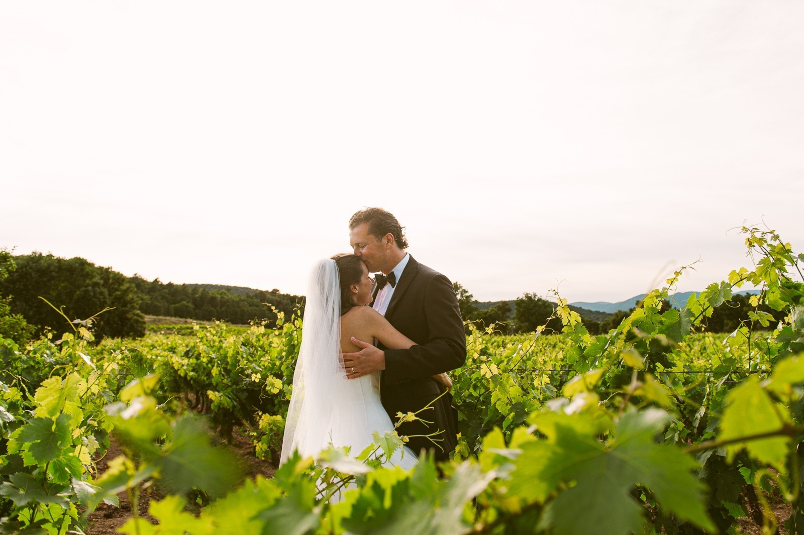 Bride and groom walking between the vines at a Saint-Tropez vineyard wedding