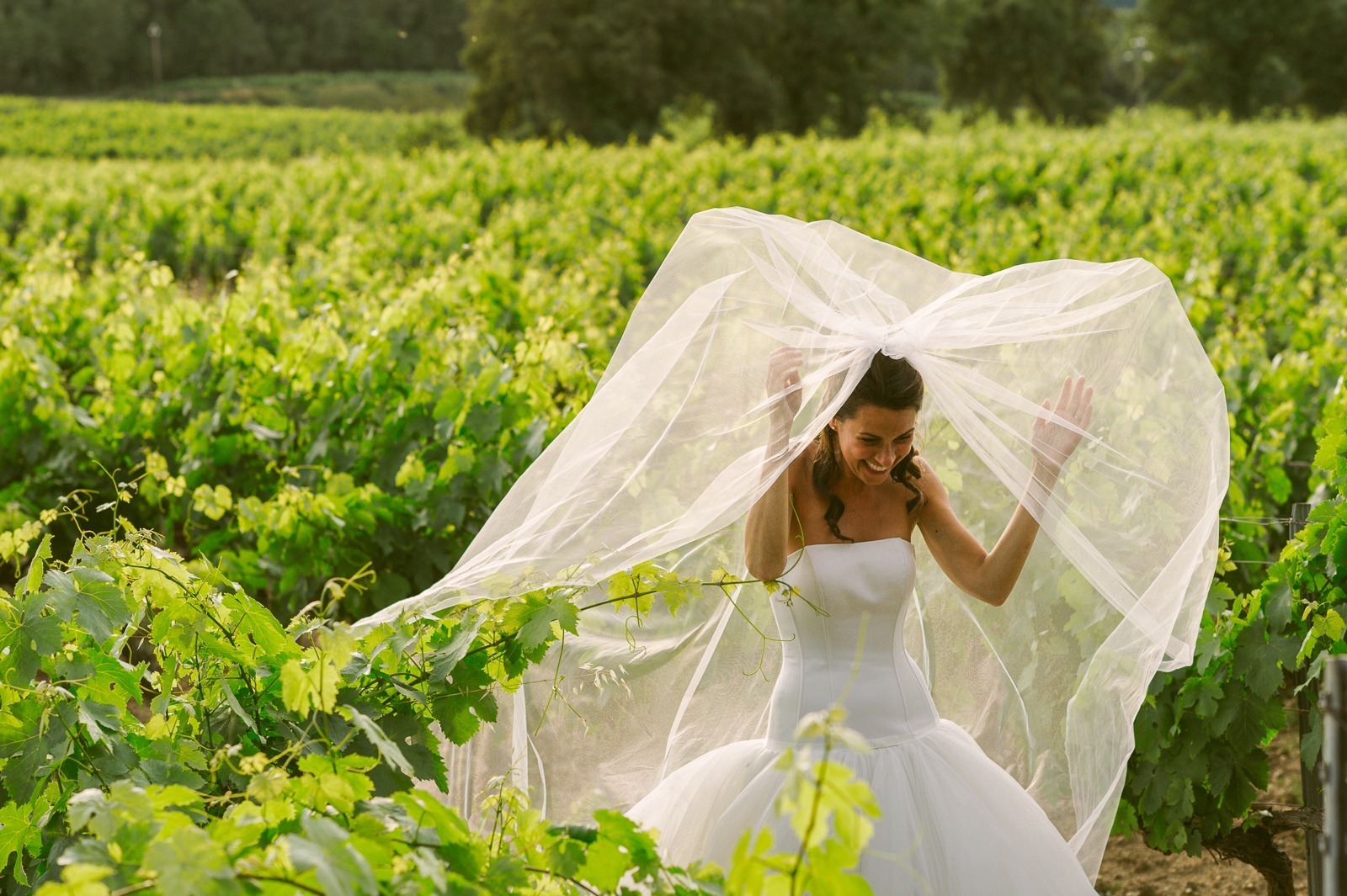 Couple walking uphill in vineyard at dusk near Saint-Tropez