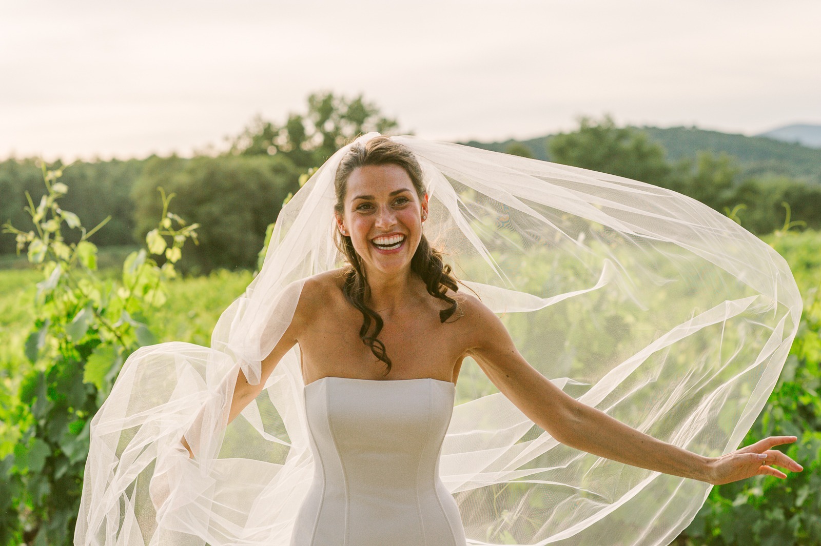 Backlit portrait of couple in vines near Saint-Tropez