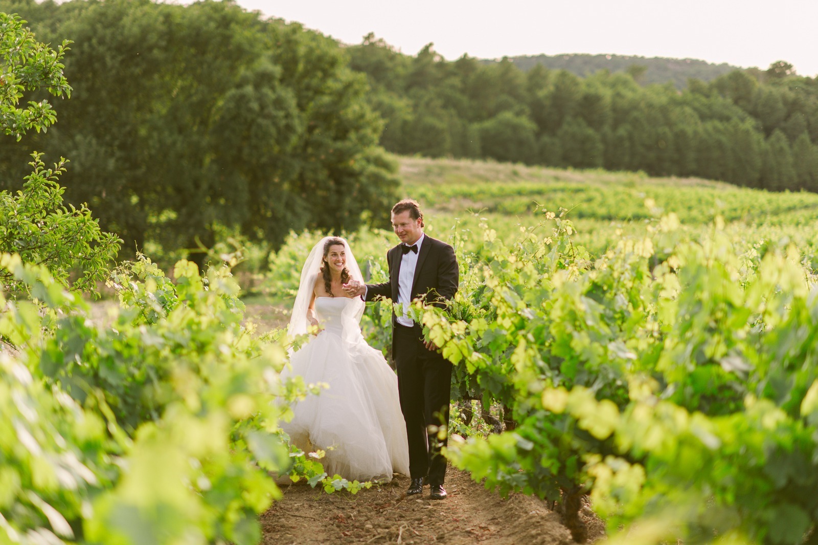 Couple holding hands walking away from camera in vineyard near Saint-Tropez