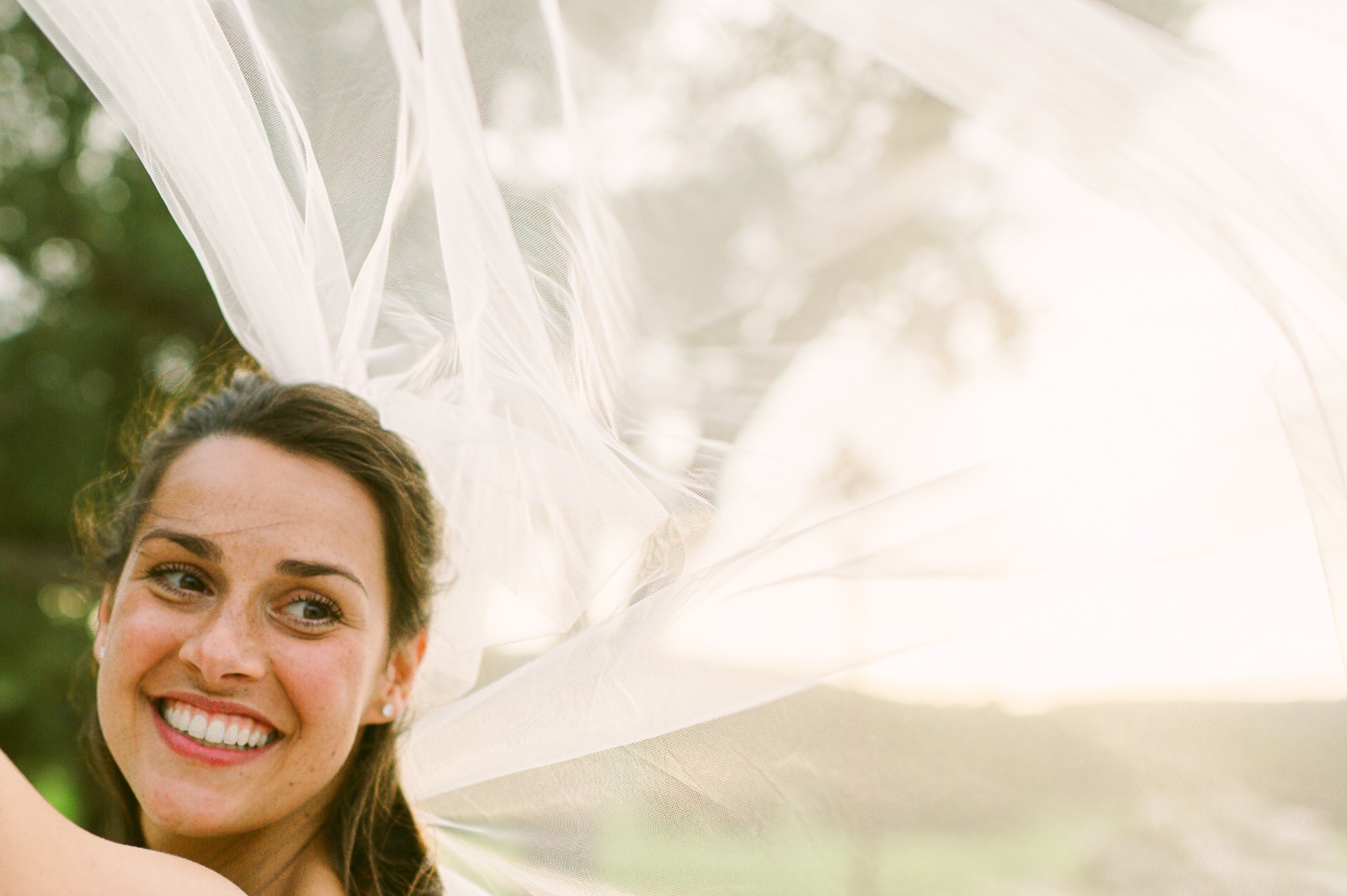 Bride and groom standing between vineyard rows at dusk near Saint-Tropez