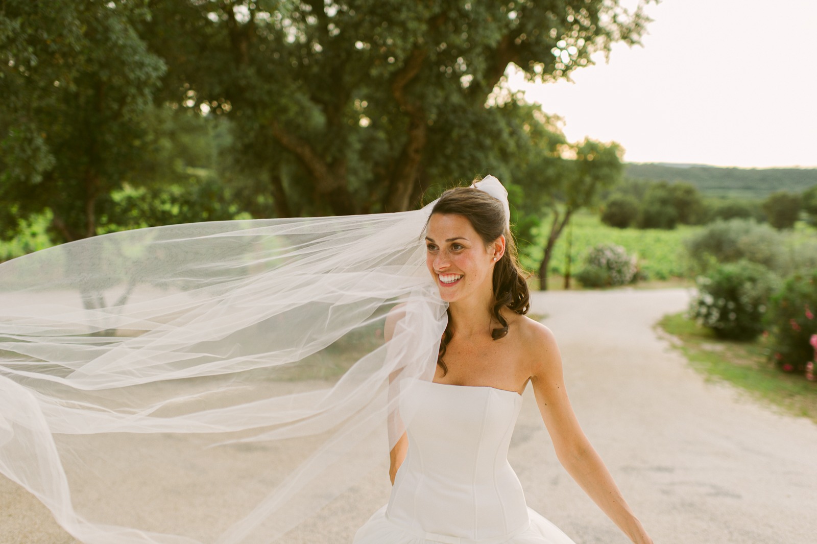 Silhouette of couple in vineyard at dusk near Saint-Tropez