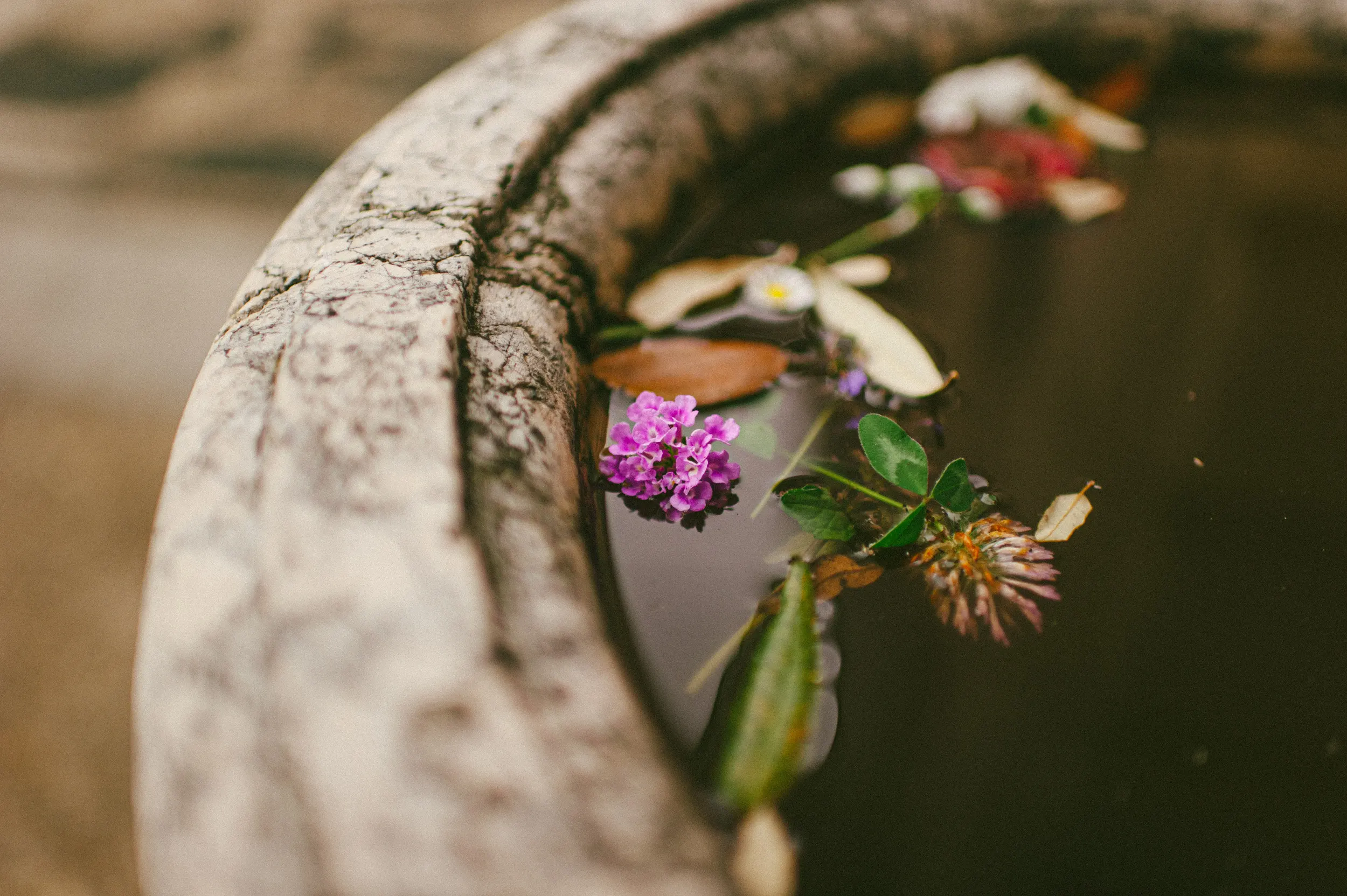 Hotel Splendido fountain with flowers in Portofino